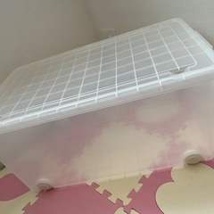 6月7日まで 収納ケース