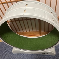 キャットホイールの画像
