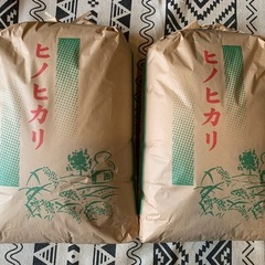 令和6年度 ヒノヒカリ 30Kg 玄米
