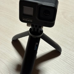 ゴープロ8の画像