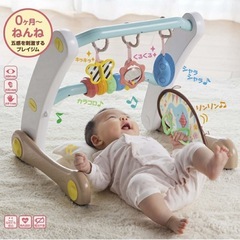０ヶ月から使える知育玩具 の画像