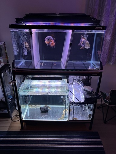 水槽セット　※決まりました※