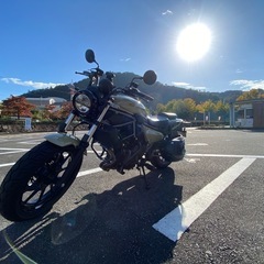 一緒にツーリングして下さい🙇‍♂️