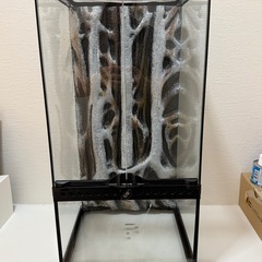 爬虫類ゲージ