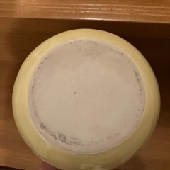 【チンチラ】飼育セットの画像