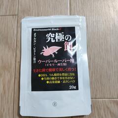 ウーパールーパー　究極の餌