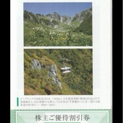 中央アルプス駒ヶ岳ロープウェイ運賃割引券