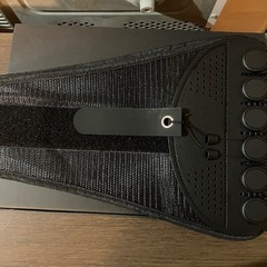 ガードナーベルトの画像