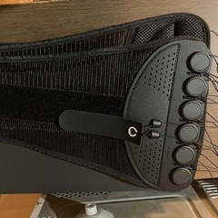 ガードナーベルトの画像