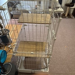 猫　ゲージ
