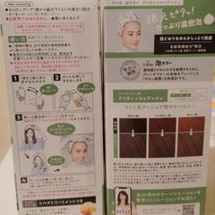 リーゼ　泡カラー　ブリティッシュアッシュ

の画像