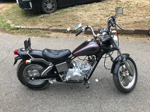 ジャズ50セル付き