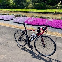 CERVELO S2 2011年