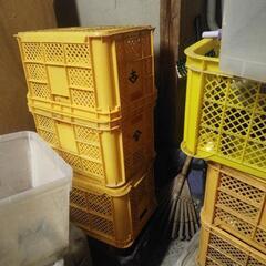 みかん箱