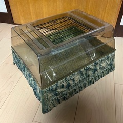 爬虫類　タートルトッパー　ミズカメの陸地