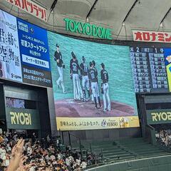 千葉ロッテファン仲間を募集します〜!! - 千葉市