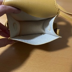 ミニバック(直接引き取りの場合値下げ可)の画像