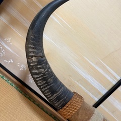 水牛の角の画像