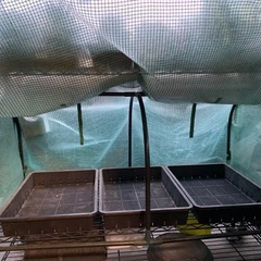 植物用温室