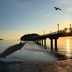 自然・写真好きな友達募集中📸 − 愛知県