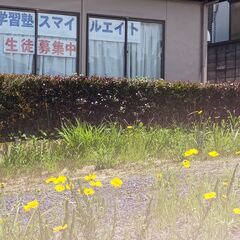 鳩山町の鳩山中の生徒と保護者の皆さんへ　期末テスト対策学習を塾で...