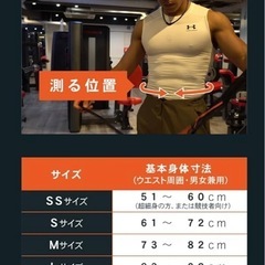 ガードナーフィットネスベルト(正規品)の画像