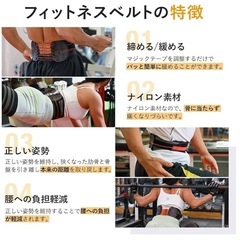 ガードナーフィットネスベルト(正規品)の画像