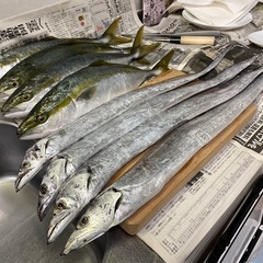 平日行ける方で楽しく一緒に釣りが出来る釣り友探してます - 川口市