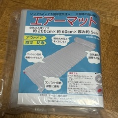 エアーマット　2個セット！　新品　未使用の画像