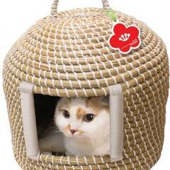 猫のちぐら🐱🏘️♥️
