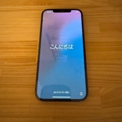 iPhone12 Promax 256GB
