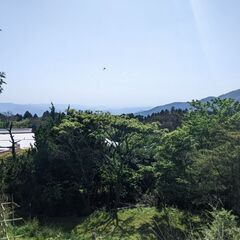 和歌山で農業（米、野菜）はじめませんか！？