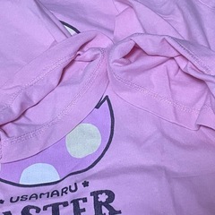 うさまる イースター Tシャツ2点 S-64-80BDの画像