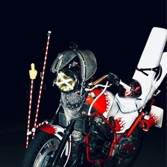 vt250fc
