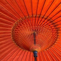 🍀羽二重傘 和傘