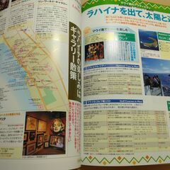 『ハワイベストガイド 2006年版』成美堂出版の画像