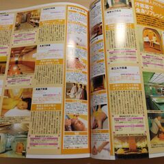 『ソウルベストガイド 2006年版』成美堂出版の画像