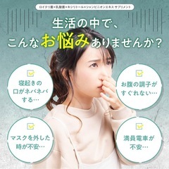 【新品未使用】ロイテリ菌 ビフィラル 30日分×2袋の画像