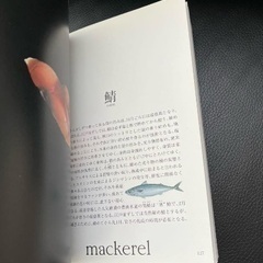 【無料】寿司　鮨　Sushi 書籍の画像