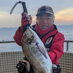 黒鯛やメジナ等ウキフカセで釣りまくる倶楽部でメンバー募集