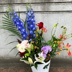 生花5