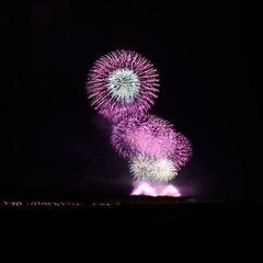 写真仲間募集