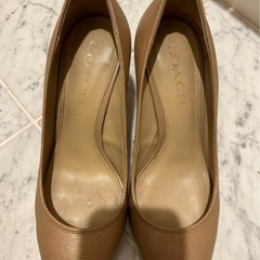 coach パンプス　靴  