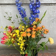 生花6