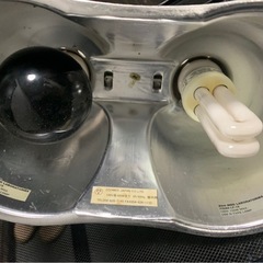 爬虫類　ケージ　ペット　の画像
