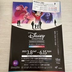 ディズニー・アニメーション　イマーシブ・エクスペリエンス　優待チラシ