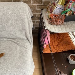 ソファベッドの画像