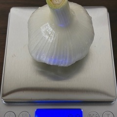 旬の採れたてニンニク1キロ🧄の画像