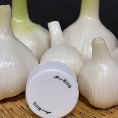 旬の採れたてニンニク1キロ🧄の画像