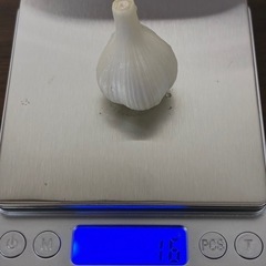 旬の採れたてニンニク1キロ🧄の画像